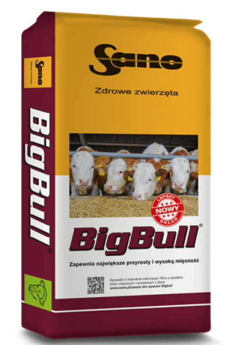 Zdjęcie 1 Bigbull