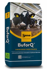 Zdjęcie produktu BuforQ nr 1 