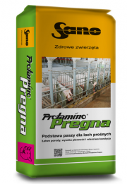 Zdjęcie produktu Protamino Pregna nr 1 